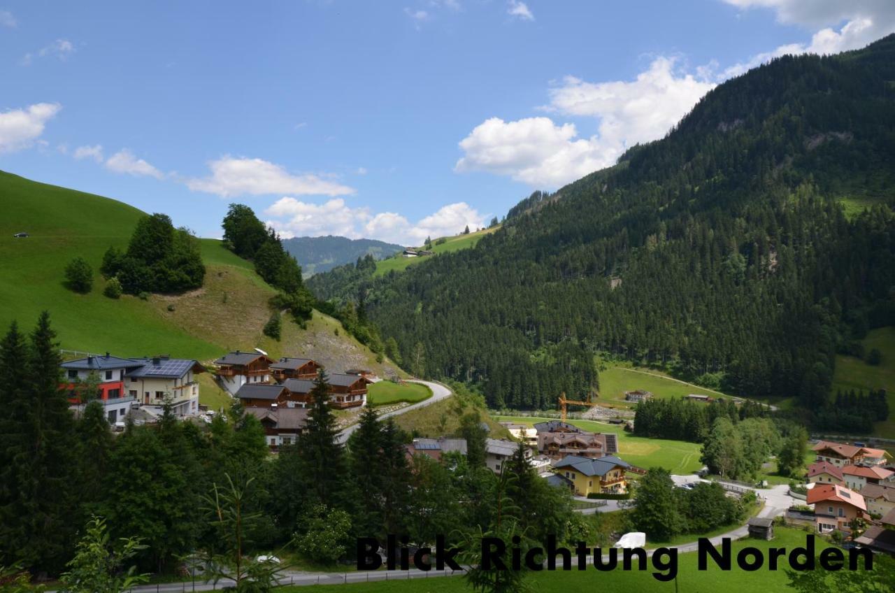 Apartment Alpenstern *