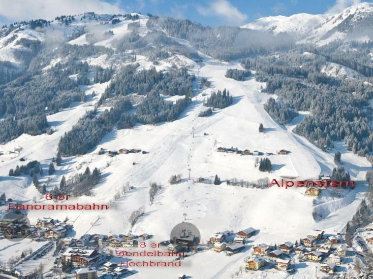 Alpenstern *