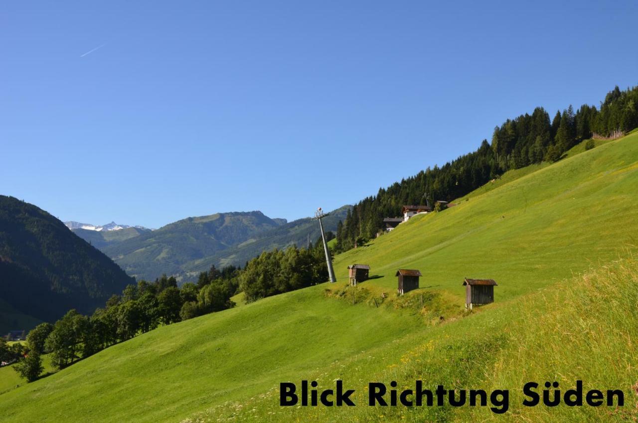 Alpenstern Apartment *